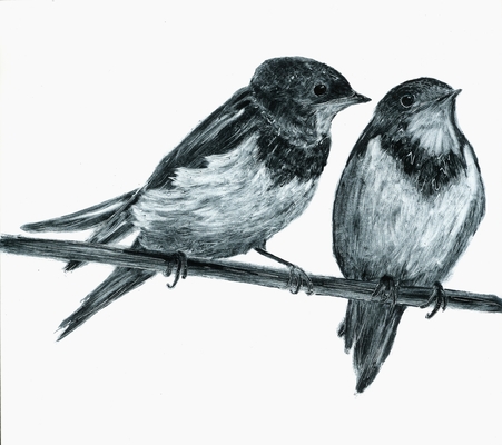 Two Swallows
